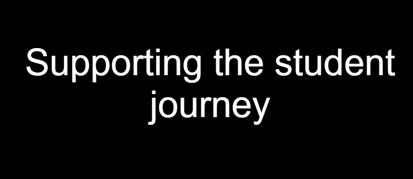 Supporting the Student Journey Through Self-Assessment of Professional Competencies